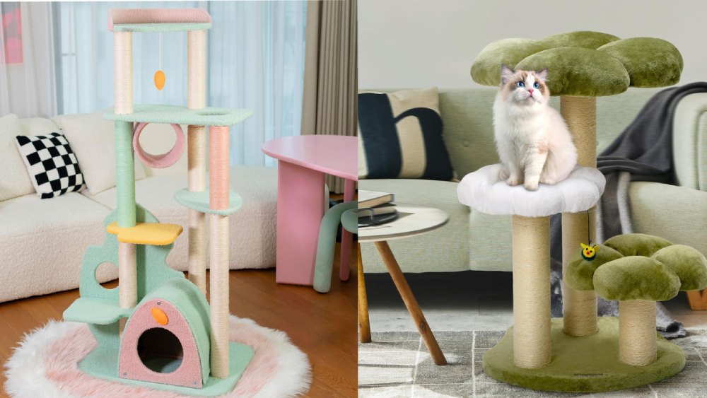 A Deep Dive into Happy & Polly: More Than Just a Pet Store